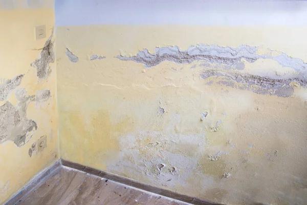 Professional Water Damage Restoration and Repair Services You Can Trust