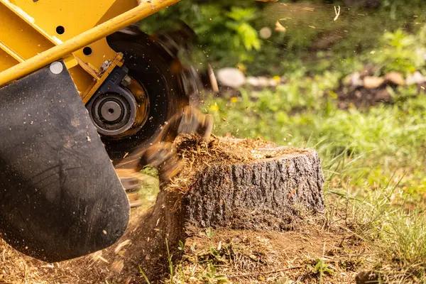 Best Practices for Stump Grinding Prior to Installing a Durable Fence