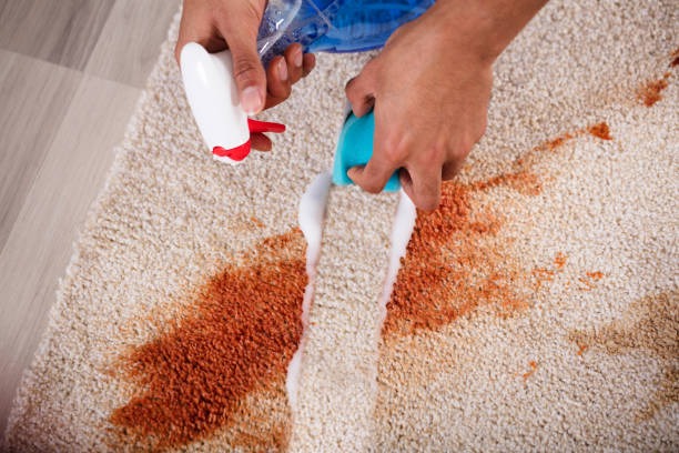 Improve Indoor Air with Rug Cleaning Phoenix
