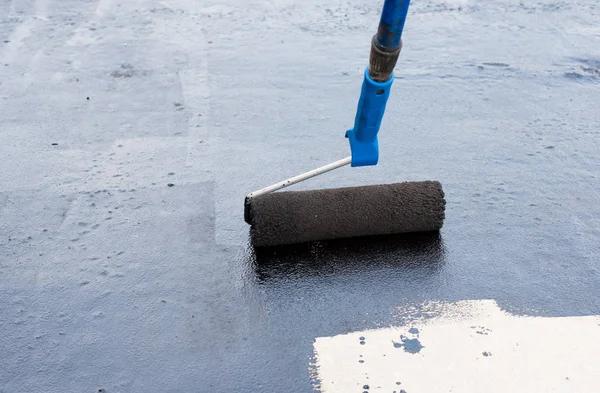 Benefits of Professional Crawl Space Waterproofing Services